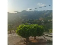 View 13