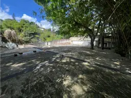 Vista 6