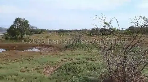Terreno (Industrial) en Venta en Zona Industrial, Zulia - 4