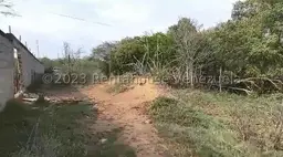 View 5