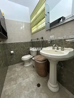 Vista 19