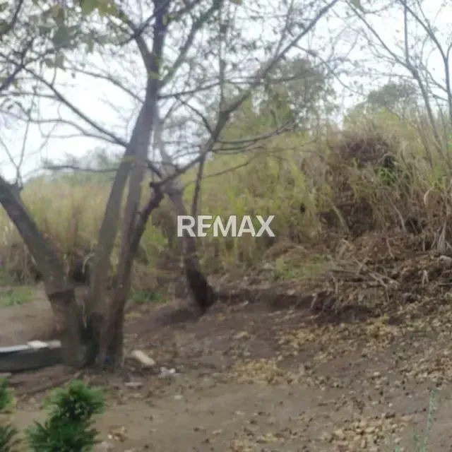 TERRENO EN VENTA CANEYES - 2