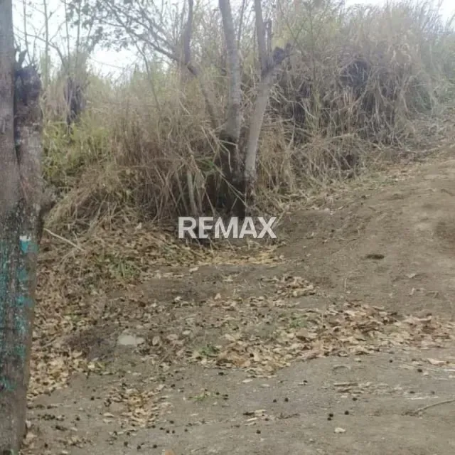 TERRENO EN VENTA CANEYES - 3