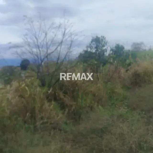 TERRENO EN VENTA CANEYES - 7