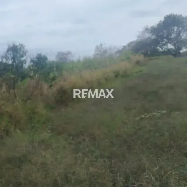 TERRENO EN VENTA CANEYES - 8