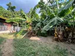 View 23