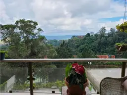 Vista 4