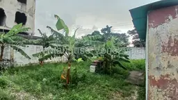 View 8
