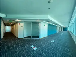 Vista 1