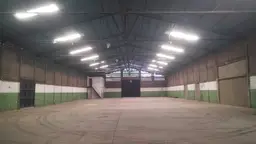 Vista 9