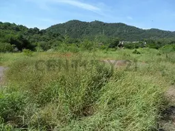 Vista 13