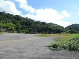 Vista 5
