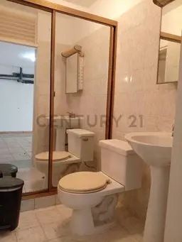 Vista 26