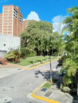 Vista 31
