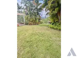 Vista 1