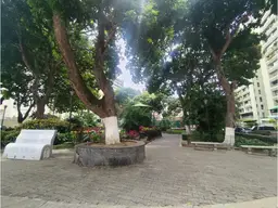 Vista 39