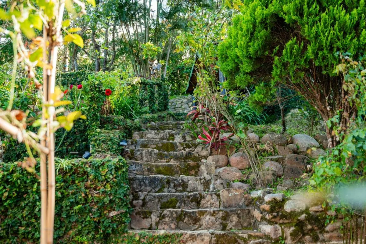 Casa Quinta Colonial, La chapa. Sierra de Falcón - 27