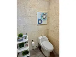 Vista 16