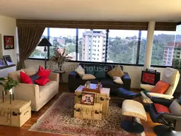 View 19