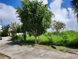 View 5