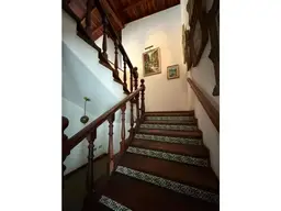Vista 14