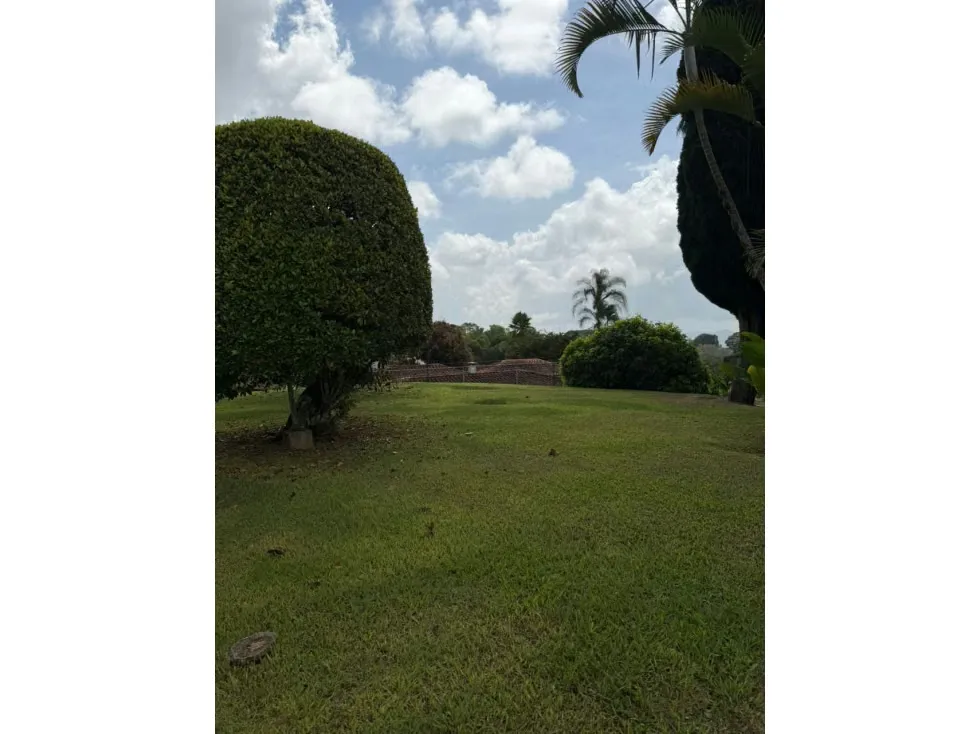 Vendo casa para remodelar 920m2 La Lagunita 6239 - 4