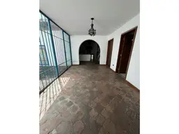 Vista 37
