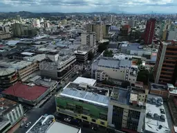 Vista 19