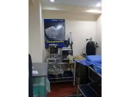 Vista 19