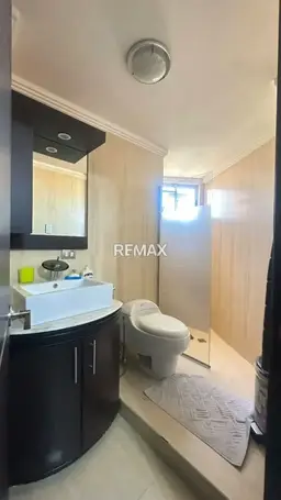 Vista 3
