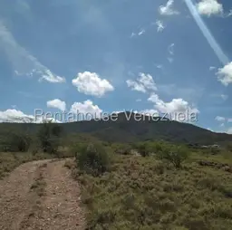 Vista 15