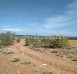 Vista 19
