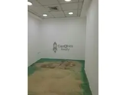Vista 6