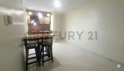 Vista 4