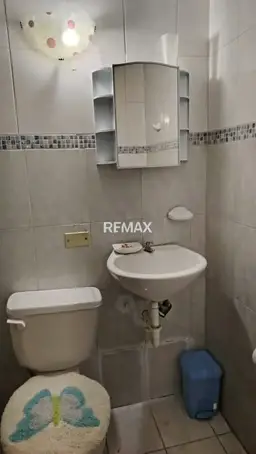 View 15