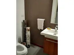 Vista 20
