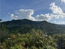 Vista 28