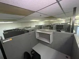 Vista 24
