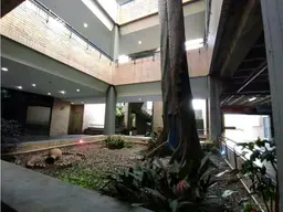 Vista 6