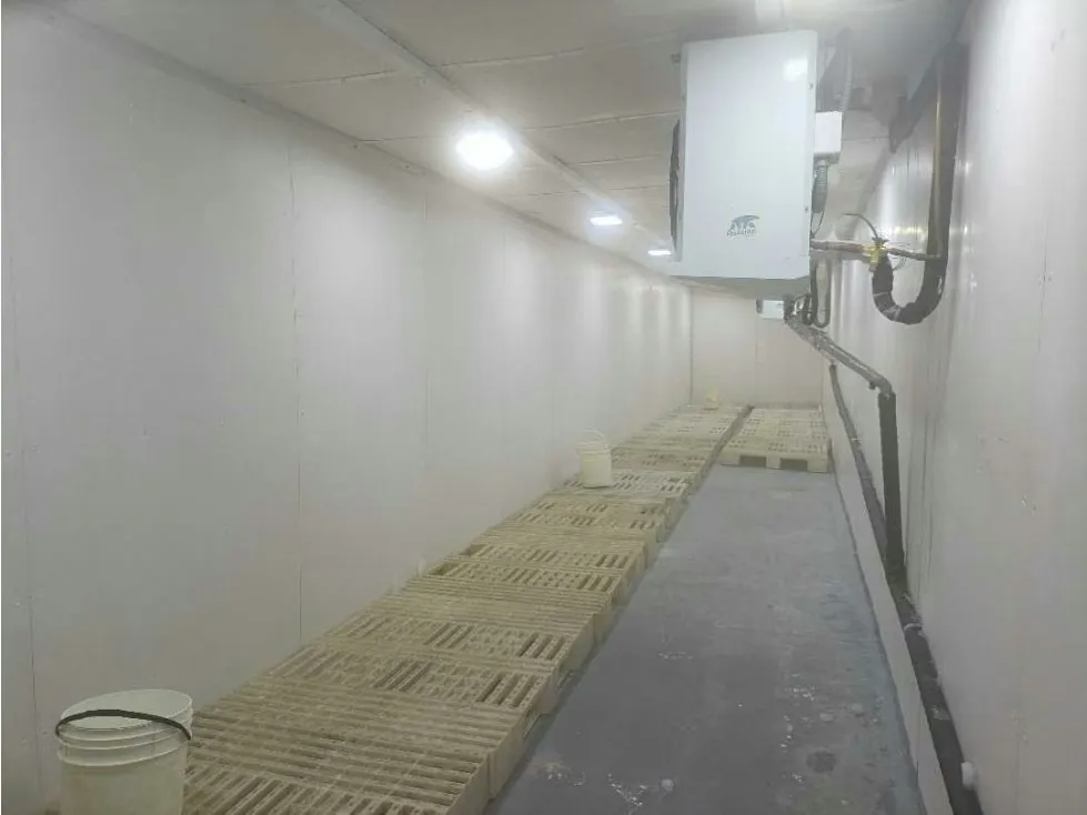 Se Alquila Cava de Congelación y Piso de Procesamiento de Alimentos - 20