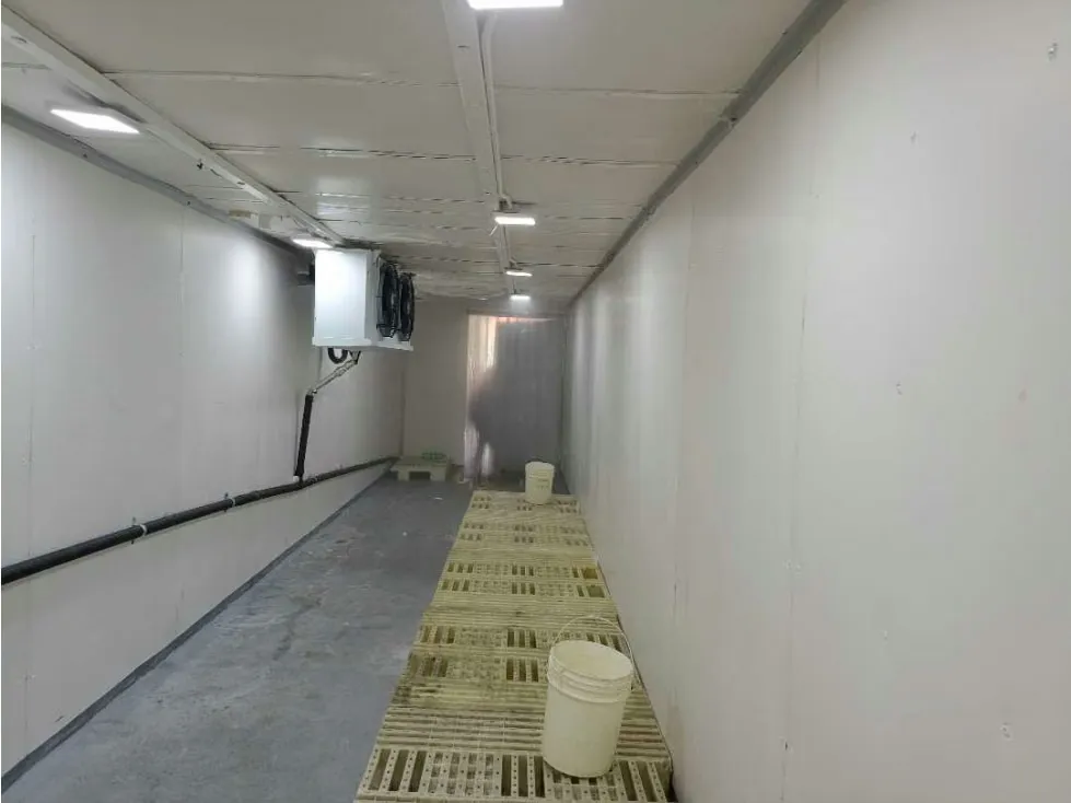 Se Alquila Cava de Congelación y Piso de Procesamiento de Alimentos - 3