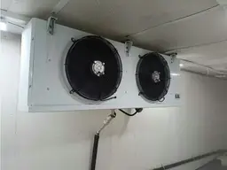 Vista 5
