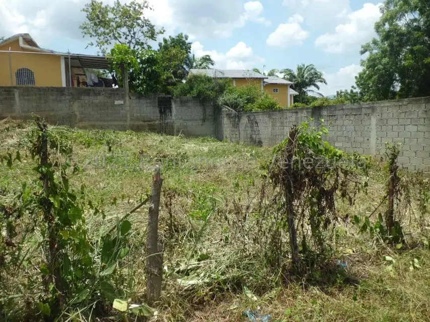 Terreno (Residencial) en Venta en Las Carolinas, Miranda - 2
