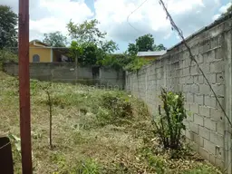 Vista 4