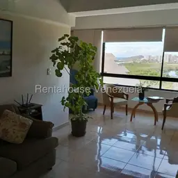 Vista 19