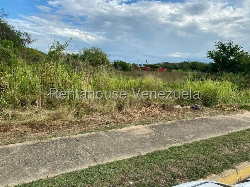 Terreno (Comercial) en Venta en Higuerote, Miranda - 4