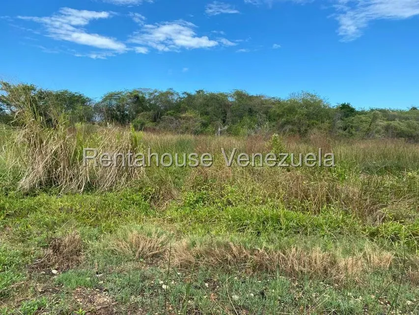 Terreno (Comercial) en Venta en Higuerote, Miranda - 5
