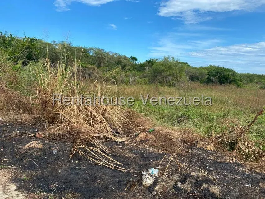 Terreno (Comercial) en Venta en Higuerote, Miranda - 6