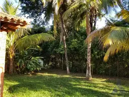 Vista 25