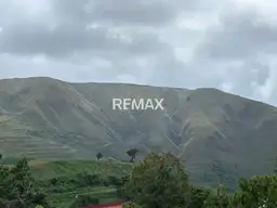 Vista 20